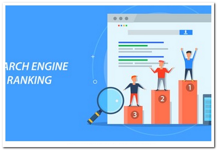 Dynamic SEO Packages Gold Coast Reviews